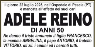 Adele Reino