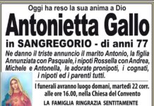 Antonietta Gallo