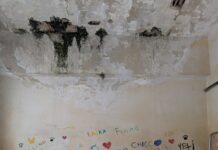 Fauna selvatica e randagi, quando la tua vita è decisa dal caso.