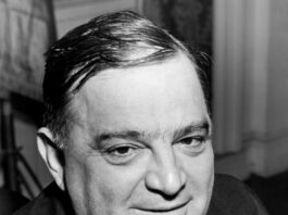 Mamdani e Foggia, cos’hanno in comune?