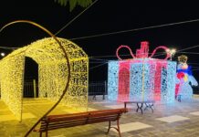 Piccolo divertissement demografico