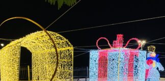 Piccolo divertissement demografico