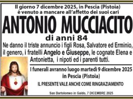 Antonio Mucciacito
