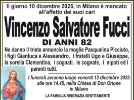 Vincenzo Salvatore Fucci