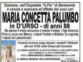 Maria Concetta Palumbo