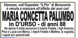 Maria Concetta Palumbo