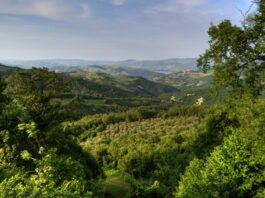 Scompare la Valfortore dal Consiglio Provinciale?