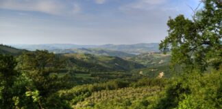 Scompare la Valfortore dal Consiglio Provinciale?