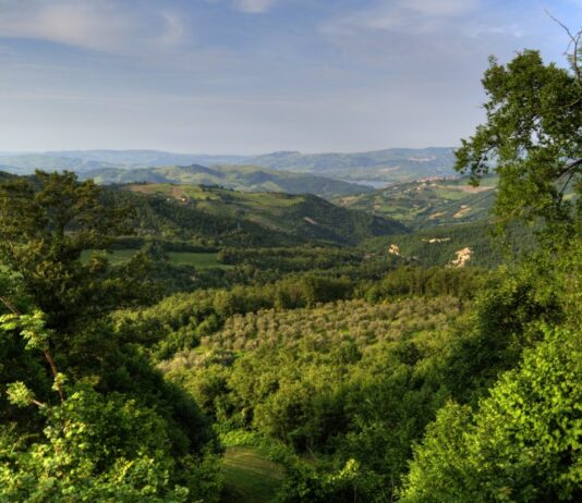 Scompare la Valfortore dal Consiglio Provinciale?